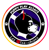 Alsa-Chiens