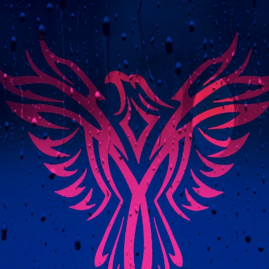 Etablissements Sauna Phenix