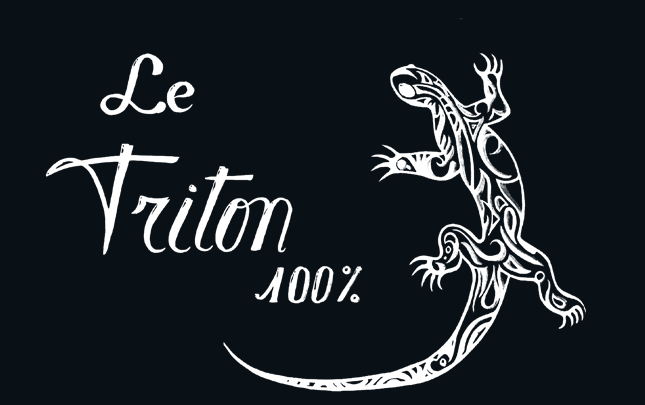 Etablissements Triton sauna