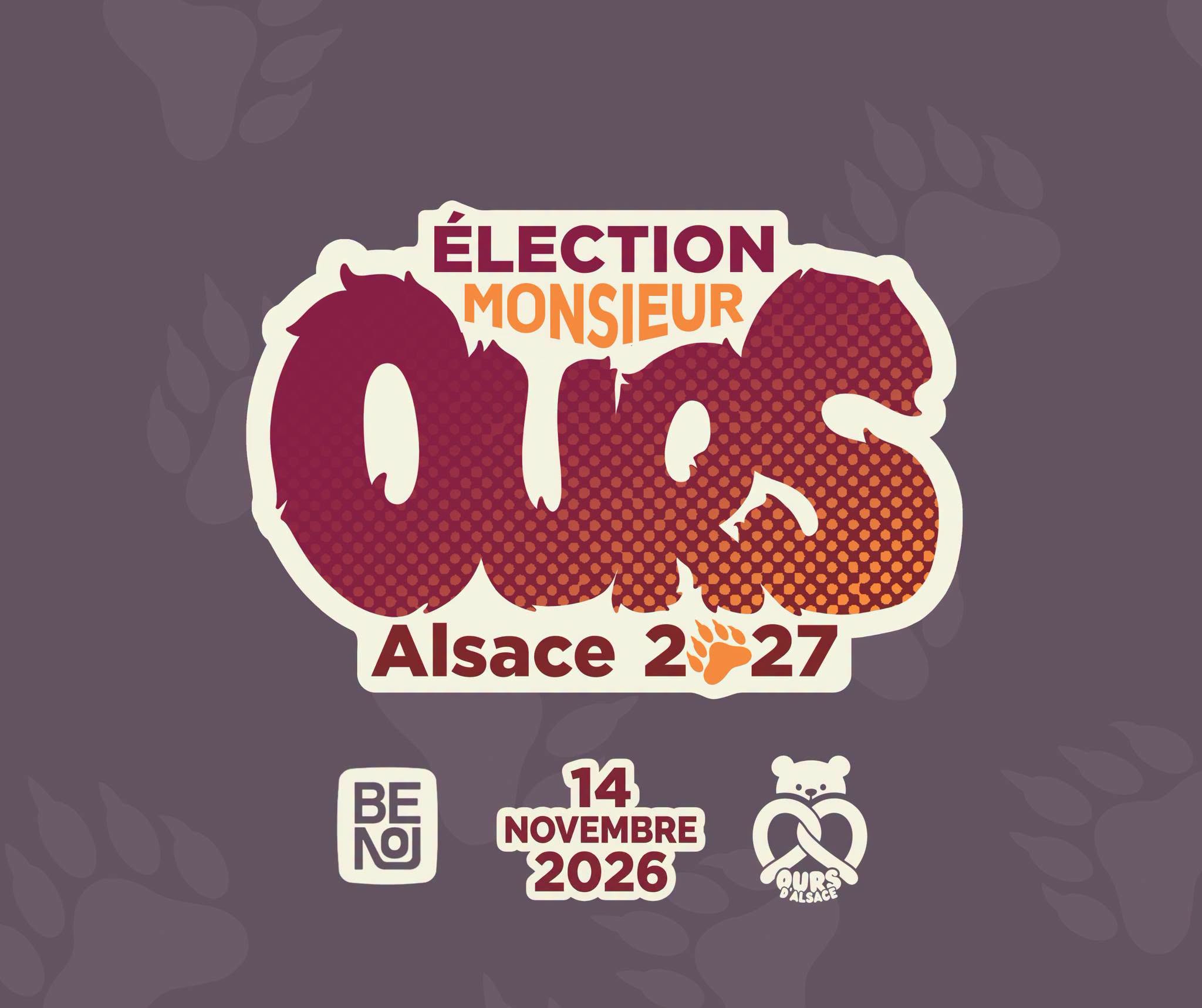 Election Monsieur Ours Alscace 2027