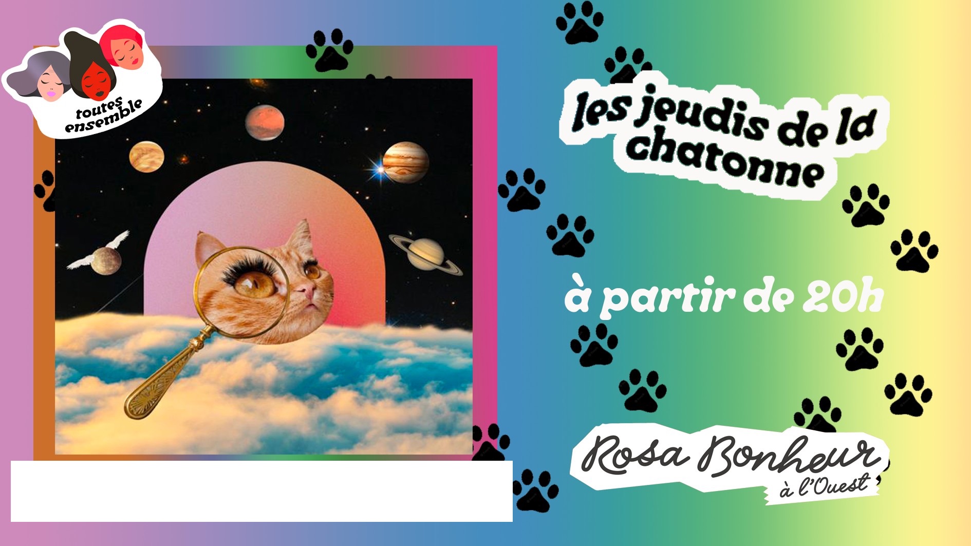 Les jeudis de la chatonnne • Agenda