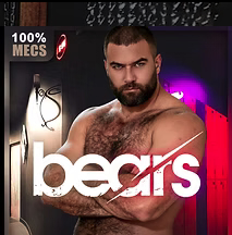 Sauna/cruising bears 14h-18h - toutes tendances confondues 18h-2h