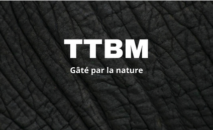 TTBM